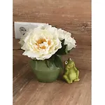 Froschkoje Apartman