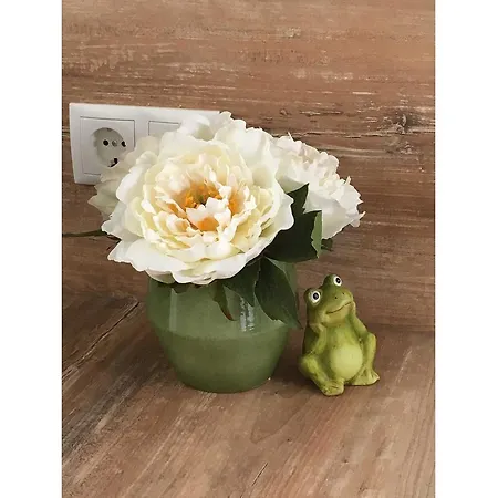 Froschkoje Appartement