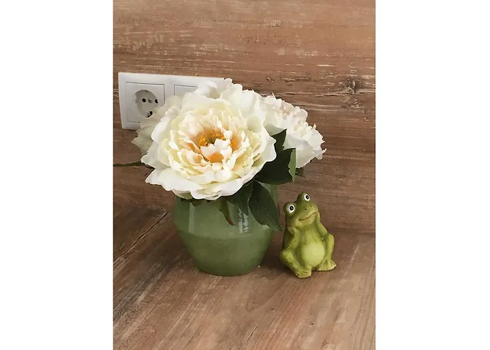 Froschkoje Lejlighed